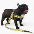 OFF WHITE LEASH, HARNESS & COLLAR SET ( YELLOW)