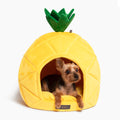 PINEAPPLE PET BED