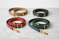 different goyard dog collars and leaash