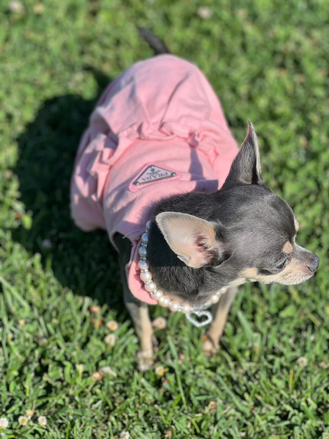 Pink Prada Dress For Princess Pups